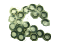M90800086 OIL SEAL For Mitsubishi Sewing Machine M90800086